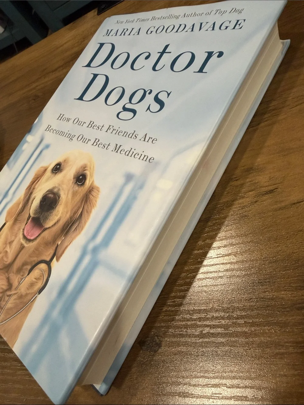 Doctor Dogs by Maria Goodavage - Hardcover Book (Blue & Cream Cover)